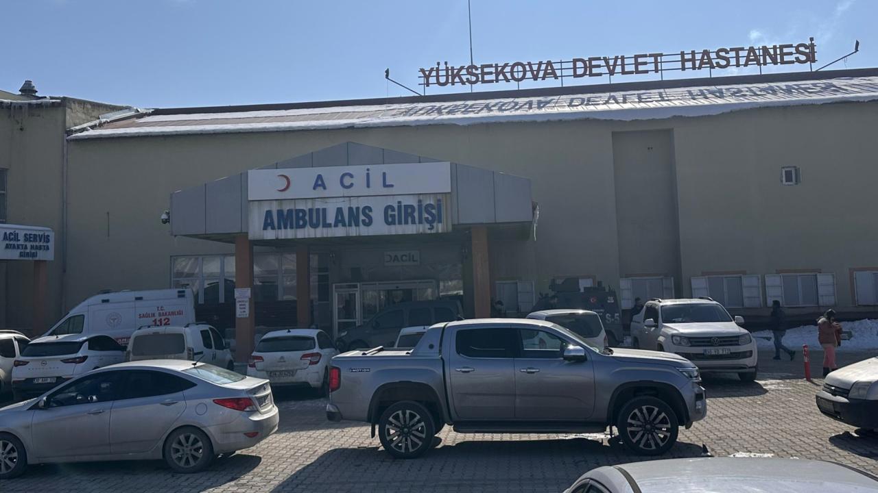 Başıboş köpekler tarafından öldürülen çocuk için müfettiş görevlendirildi
