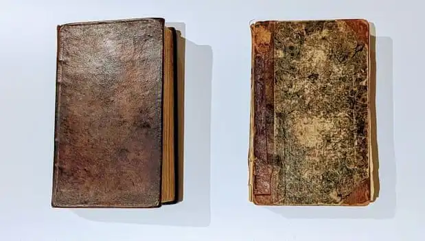 200 Yıllık Sır Açığa Çıktı: Katilin Derisiyle Yapılan Kitap Müzede Sergileniyor
