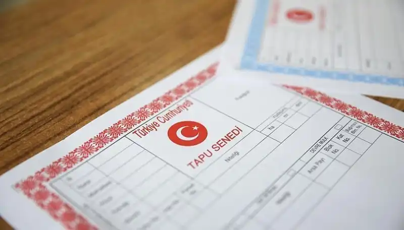 100 Milyonluk Hisseli Tapu Tuzağı Deşifre Edildi: Dolandırıcılar Ortaya Çıktı