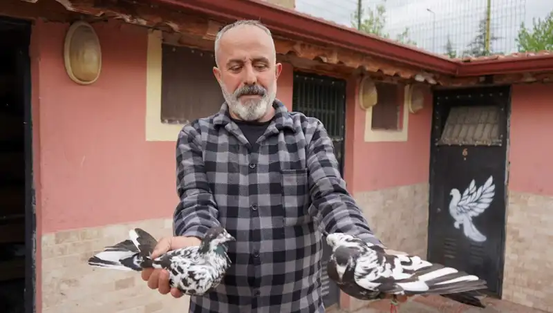 42 Yıllık Hobi, Şimdi Profesyonel Bir Tesise Dönüştü: İl Dışından Yoğun Talep!