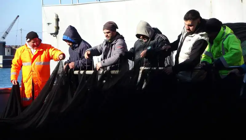 Hamsi Avında Şok: Tekne Sahipleri Erken Sezonu Kapatmak Zorunda Kaldı