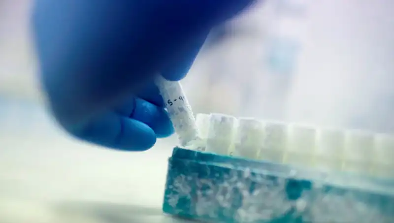 Tıbbi Felaket: 85 Sperm Donörü Binlerce Çocuğa Baba Oldu