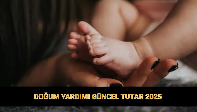 2023 Doğum Yardımı Parası: Çocuk Sayısına Göre Güncel Tutarlar Açıklandı!