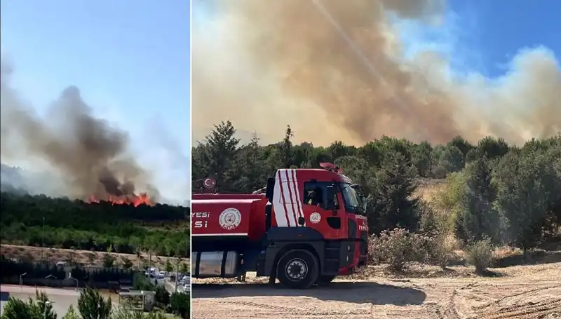 Gebze'de Sıcak Günlerde Tehlikeli Orman Yangını: Neler Yaşandı?