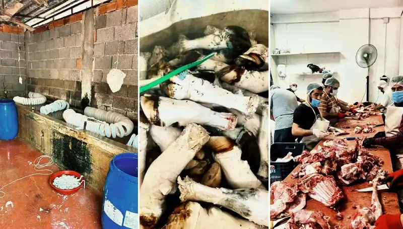 Adana'da Şok Eden Gıda Operasyonu: Yüzlerce Kilo Paça Ele Geçirildi