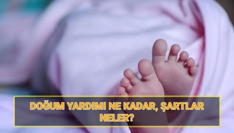 2025 Çocuk Parası Başvuruları Başladı: Doğum Yardımı İçin Bilmeniz Gerekenler