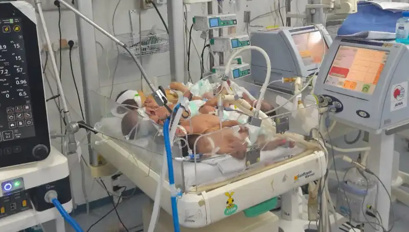 Gazzeli Doktorlar Çağrı Yapıyor: "Birden Fazla Bebek Aynı Kuvözde Yaşıyor"
