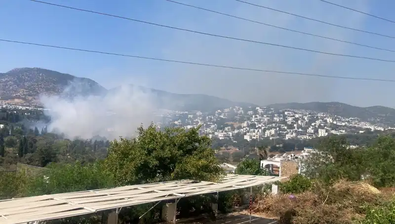 Muğla'daki Orman Yangınları Sonunda Kontrol Altına Alındı!