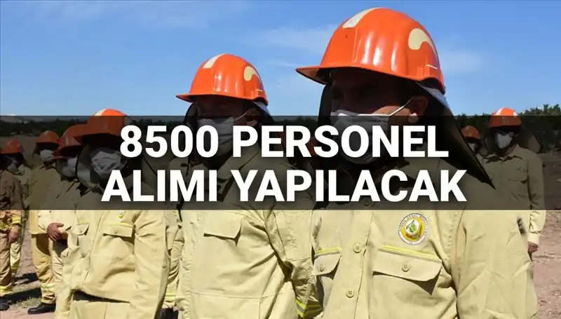 2025 Tarım ve Orman Bakanlığı Personel Alımı: 8500 Yeni İstihdam Fırsatı!