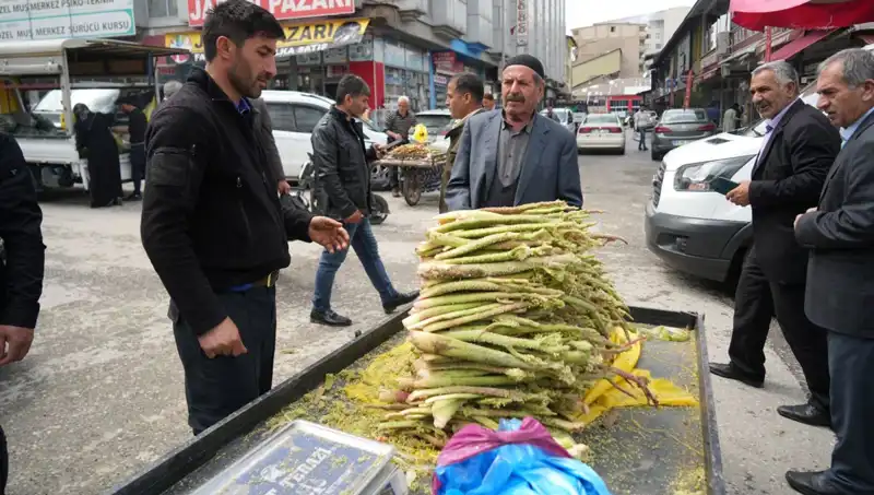 Dağlık Alanların Şifalı Bitkisi: Şekerin Sağlığa Faydaları Neler?