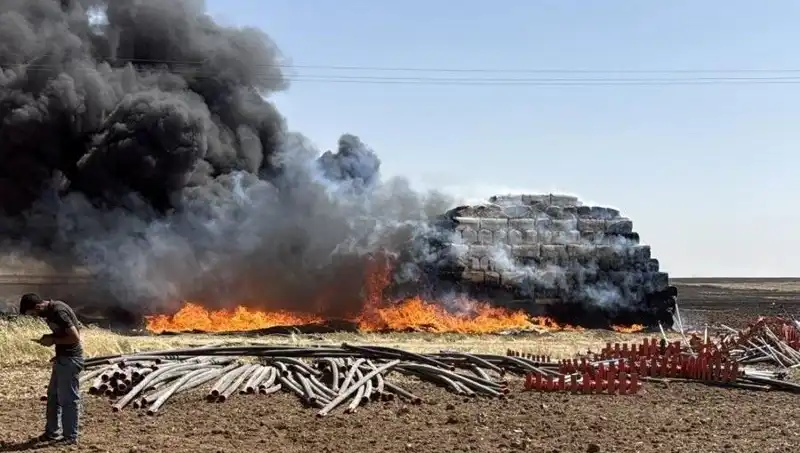 Mardin'de Anız Yangını: Tarım Arazilerini Tehdit Eden Küçük Kıyamet