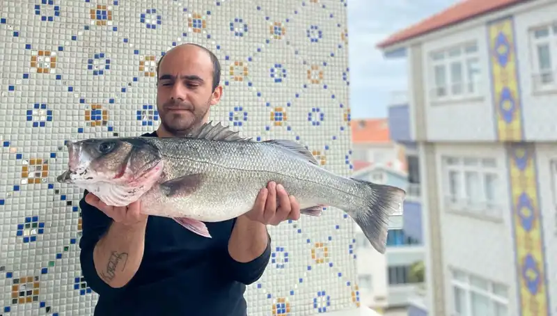 7,5 Kiloluk Dev Levrek: Balıkçıların Dikkatini Çeken Heyecan Verici Av