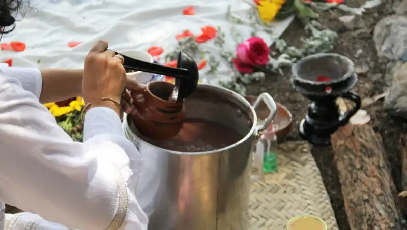 Ayahuasca: Gizemli Şifa İçin Doğanın Bir Hediyesi mi?