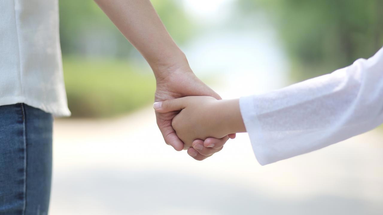 Aile Yılı'nda Vatandaşlara Müjdeli Haberler!