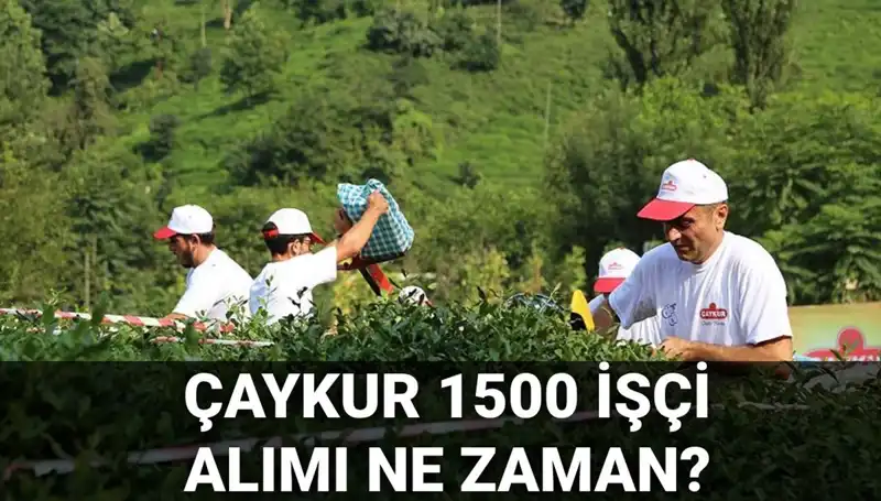 Çaykur 2023 İşçi Alımı Başvuru Tarihleri ve Sürecine Dair Tüm Detaylar