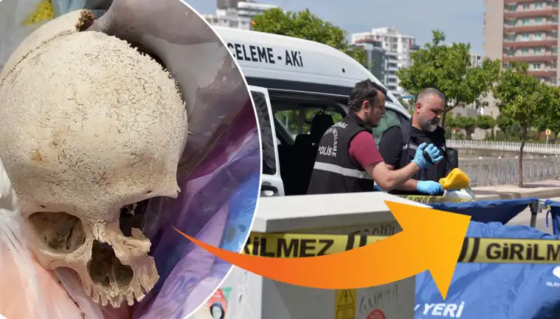 Çöp Alanında Bulunan Kafatasının Gizemi ve Uzman Doktorun Gözaltına Alınması