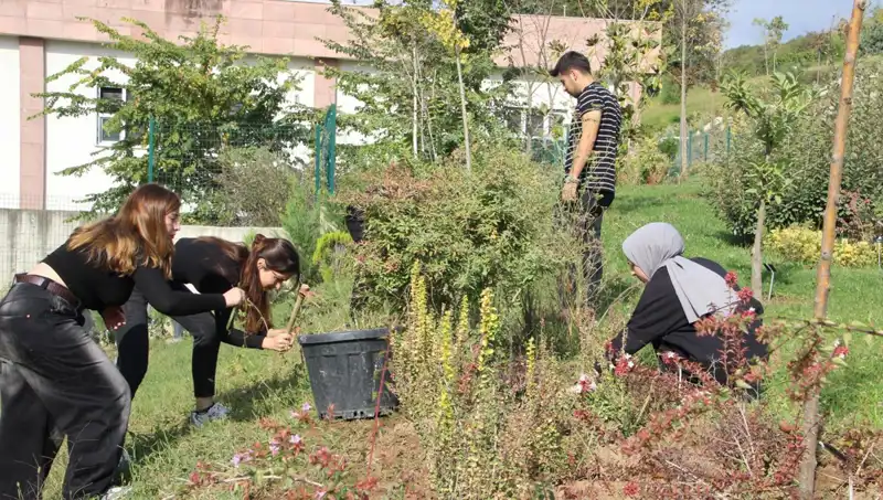 Düzce'nin Gururu: Yerel Bir Hayal Nasıl Küresel Bir Başarıya Dönüştü?